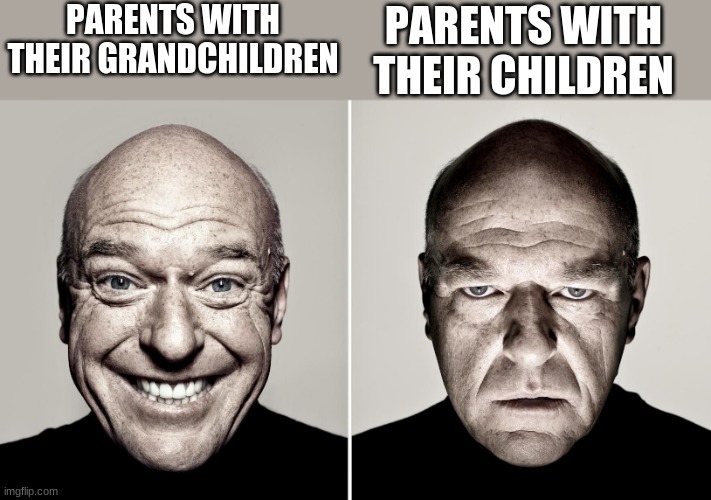 Idk what the switch is, but i wanna experience it | PARENTS WITH THEIR CHILDREN; PARENTS WITH THEIR GRANDCHILDREN | image tagged in dean norris | made w/ Imgflip meme maker