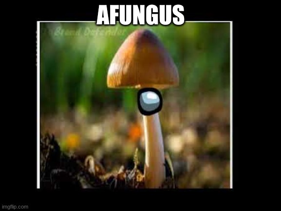 AFUNGUS | AFUNGUS | image tagged in fungus,afungus,among us,sus,memes | made w/ Imgflip meme maker