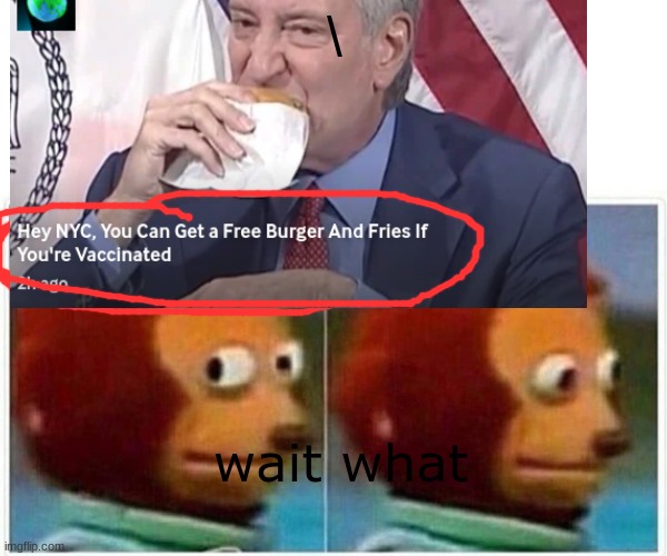 Wait what | \; wait what | image tagged in vaccine,covid,nyc,burgers,memes | made w/ Imgflip meme maker