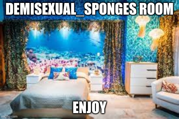 DEMISEXUAL_SPONGES ROOM; ENJOY | made w/ Imgflip meme maker