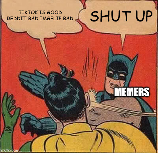 Batman Slapping Robin | TIKTOK IS GOOD REDDIT BAD IMGFLIP BAD; SHUT UP; MEMERS | image tagged in memes,batman slapping robin | made w/ Imgflip meme maker