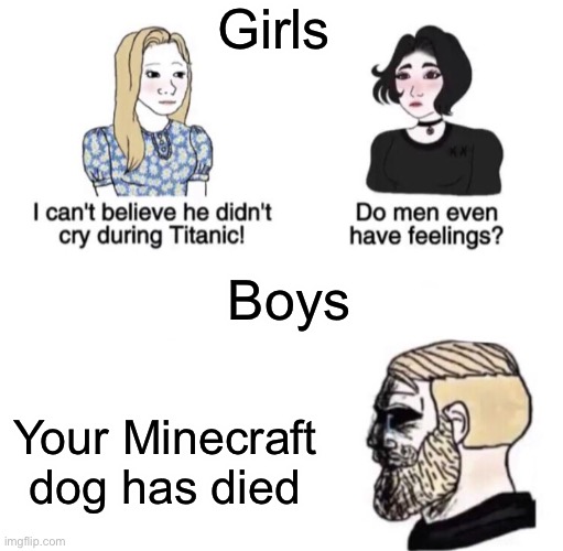 Chad crying | Girls; Boys; Your Minecraft dog has died | image tagged in chad crying,memes,minecraft | made w/ Imgflip meme maker
