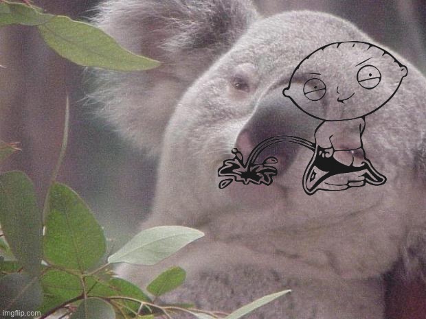 Dank Koala | image tagged in dank koala | made w/ Imgflip meme maker