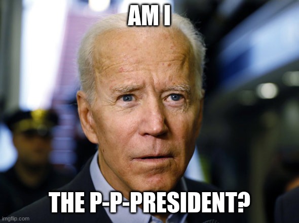 He is the president | AM I; THE P-P-PRESIDENT? | image tagged in confused joe,memes,funny,politics | made w/ Imgflip meme maker