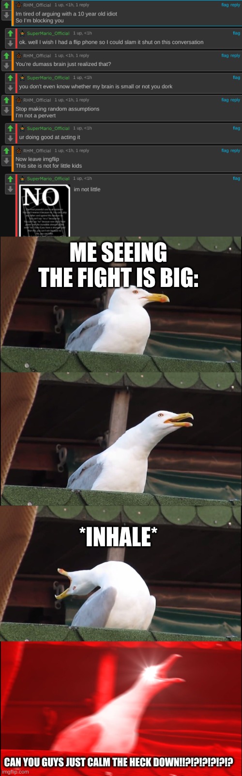 I Had Enough Of This Shit | ME SEEING THE FIGHT IS BIG:; *INHALE*; CAN YOU GUYS JUST CALM THE HECK DOWN!!?!?!?!?!?!? | image tagged in memes,inhaling seagull | made w/ Imgflip meme maker