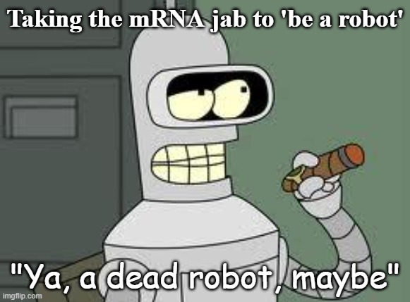Bender | Taking the mRNA jab to 'be a robot'; "Ya, a dead robot, maybe" | image tagged in bender | made w/ Imgflip meme maker