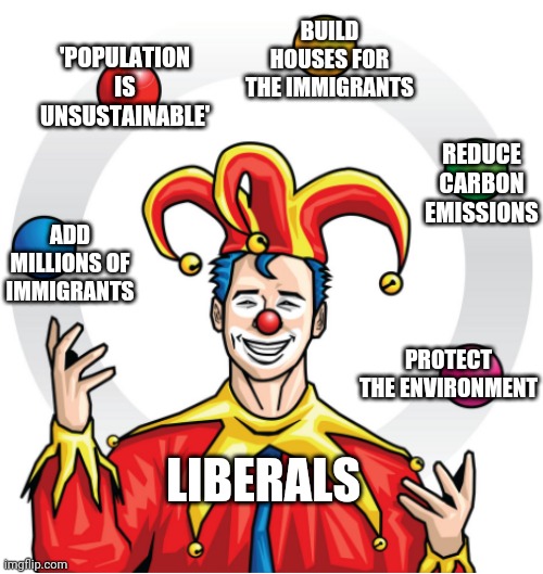 the juggler | BUILD HOUSES FOR THE IMMIGRANTS; 'POPULATION IS UNSUSTAINABLE'; REDUCE CARBON EMISSIONS; ADD MILLIONS OF IMMIGRANTS; PROTECT THE ENVIRONMENT; LIBERALS | image tagged in the juggler | made w/ Imgflip meme maker