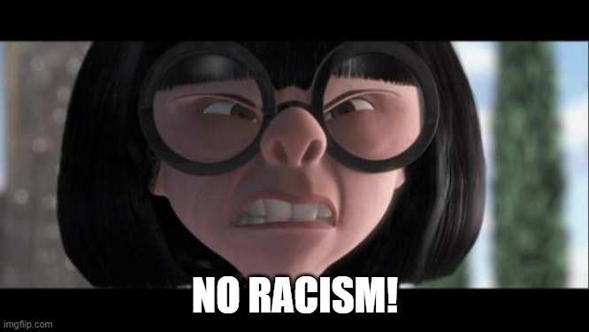 NO RACISM! | NO RACISM! | image tagged in edna incredibles | made w/ Imgflip meme maker
