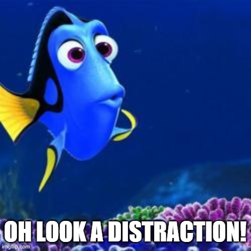 oh look | OH LOOK A DISTRACTION! | image tagged in oh look | made w/ Imgflip meme maker