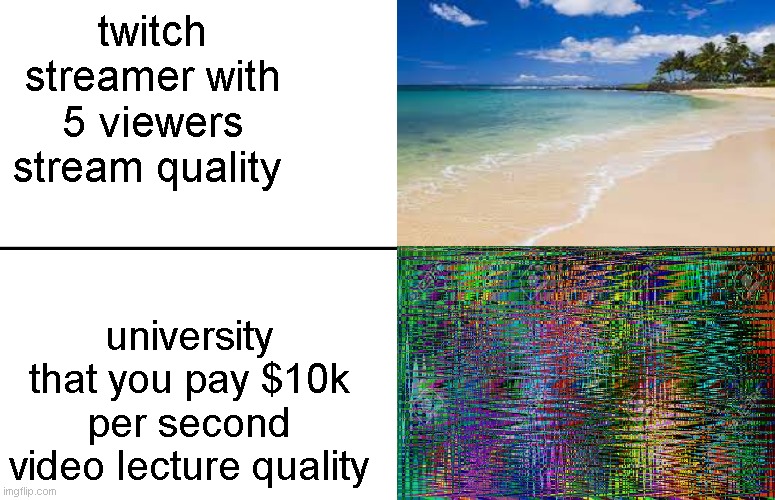 Video Quality | twitch streamer with 5 viewers stream quality; university that you pay $10k per second video lecture quality | image tagged in truth,so true memes | made w/ Imgflip meme maker