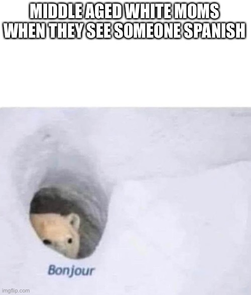 Bonjour | MIDDLE AGED WHITE MOMS WHEN THEY SEE SOMEONE SPANISH | image tagged in bonjour | made w/ Imgflip meme maker