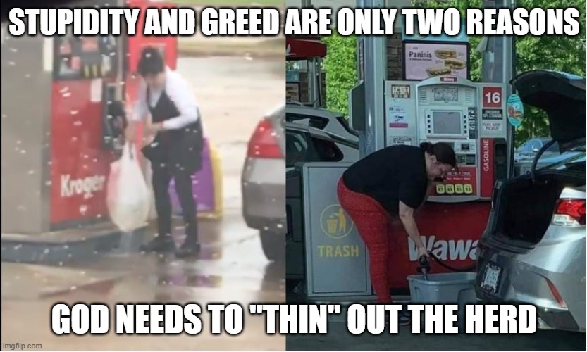stupidity and greed | STUPIDITY AND GREED ARE ONLY TWO REASONS; GOD NEEDS TO "THIN" OUT THE HERD | image tagged in gas,gas station,gas in bags,fuel shortage | made w/ Imgflip meme maker