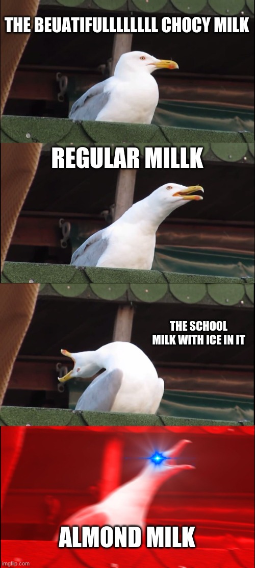 Inhaling Seagull | THE BEUATIFULLLLLLLL CHOCY MILK; REGULAR MILLK; THE SCHOOL MILK WITH ICE IN IT; ALMOND MILK | image tagged in memes,inhaling seagull | made w/ Imgflip meme maker