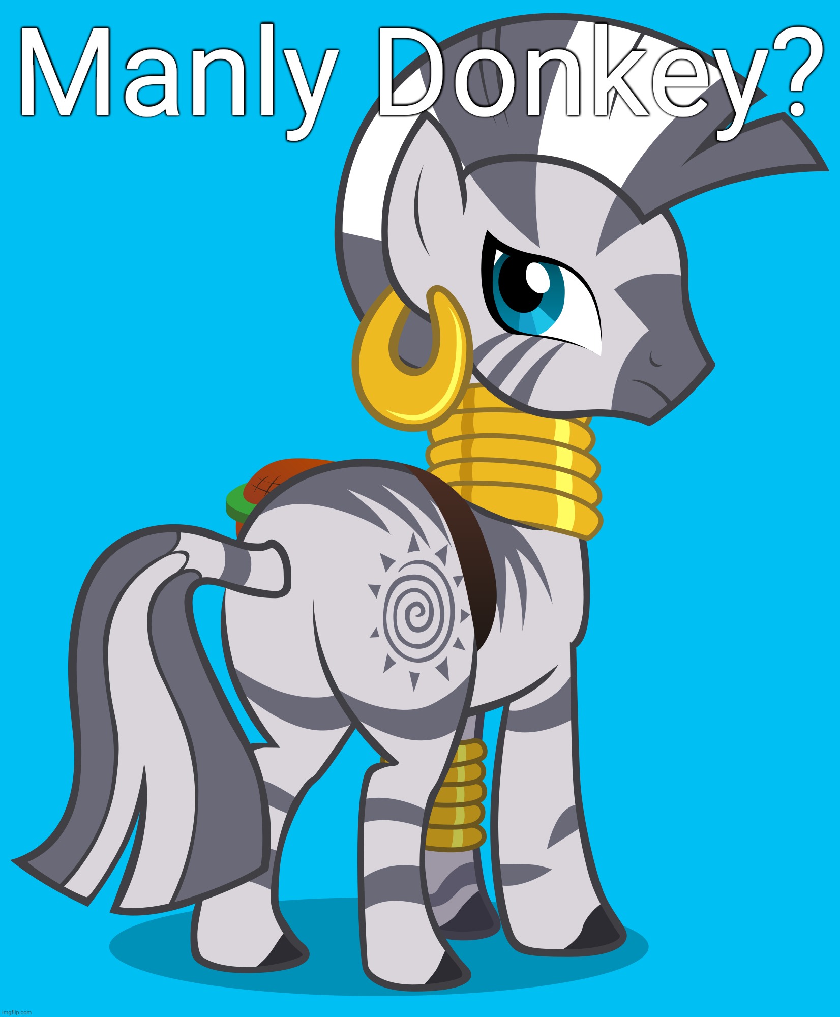 Zecora (Transparent) | Manly Donkey? | image tagged in zecora transparent | made w/ Imgflip meme maker