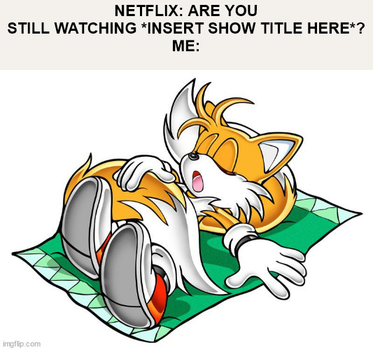 lol yeah | NETFLIX: ARE YOU STILL WATCHING *INSERT SHOW TITLE HERE*?
ME: | made w/ Imgflip meme maker