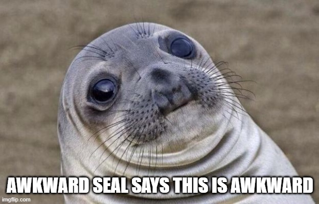 Awkward Moment Sealion Meme | AWKWARD SEAL SAYS THIS IS AWKWARD | image tagged in memes,awkward moment sealion | made w/ Imgflip meme maker