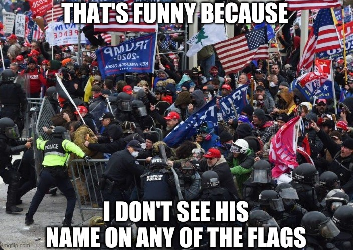 Capitol | THAT'S FUNNY BECAUSE I DON'T SEE HIS NAME ON ANY OF THE FLAGS | image tagged in capitol | made w/ Imgflip meme maker