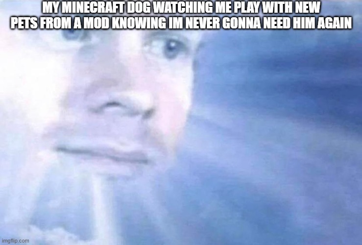 Blinking white guy sun | MY MINECRAFT DOG WATCHING ME PLAY WITH NEW PETS FROM A MOD KNOWING IM NEVER GONNA NEED HIM AGAIN | image tagged in blinking white guy sun | made w/ Imgflip meme maker
