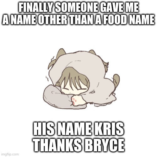 . | FINALLY SOMEONE GAVE ME A NAME OTHER THAN A FOOD NAME; HIS NAME KRIS THANKS BRYCE | made w/ Imgflip meme maker