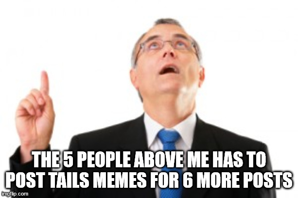ARE YOU ACCEPTING | THE 5 PEOPLE ABOVE ME HAS TO POST TAILS MEMES FOR 6 MORE POSTS | image tagged in man pointing up | made w/ Imgflip meme maker