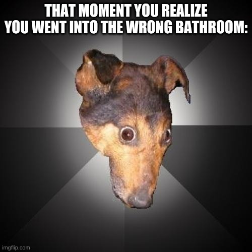 Depression Dog | THAT MOMENT YOU REALIZE YOU WENT INTO THE WRONG BATHROOM: | image tagged in memes,depression dog | made w/ Imgflip meme maker