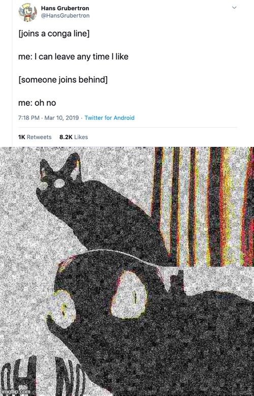 image tagged in deep fried oh no cat | made w/ Imgflip meme maker