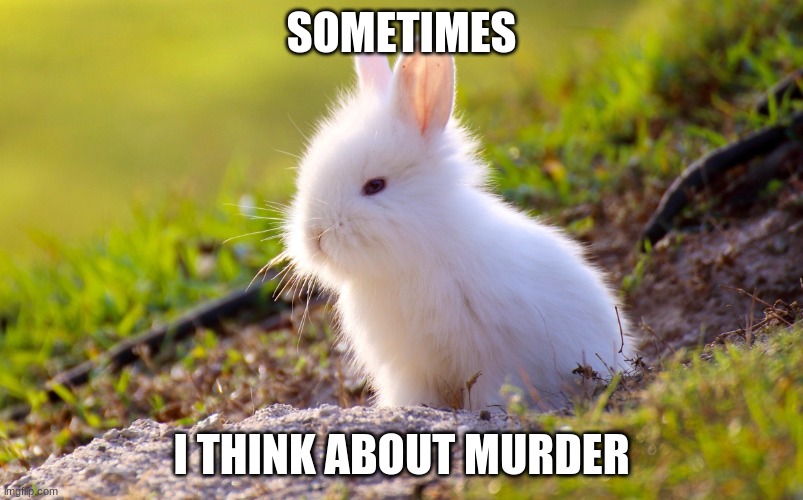 Cute Bunny | SOMETIMES; I THINK ABOUT MURDER | image tagged in cute bunny | made w/ Imgflip meme maker