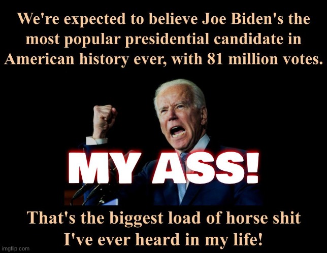 There's not enough willful suspension of disbelief in the world to make me believe that crock of crap | image tagged in election fraud,voter fraud,sleepy joe,joe biden,politics,political | made w/ Imgflip meme maker