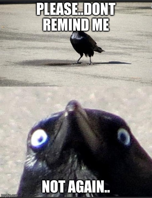 insanity crow | PLEASE..DONT REMIND ME NOT AGAIN.. | image tagged in insanity crow | made w/ Imgflip meme maker