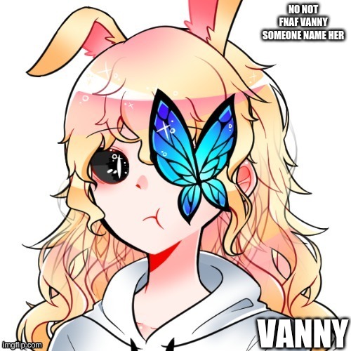 . | NO NOT FNAF VANNY SOMEONE NAME HER; VANNY | made w/ Imgflip meme maker