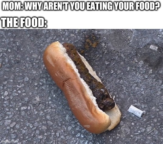 poop hotdog | THE FOOD:; MOM: WHY AREN'T YOU EATING YOUR FOOD? | image tagged in food,mom,poop | made w/ Imgflip meme maker