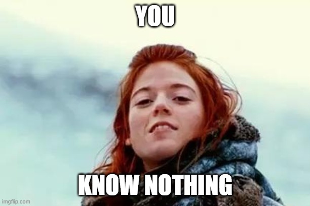 You know nothing | YOU KNOW NOTHING | image tagged in you know nothing | made w/ Imgflip meme maker
