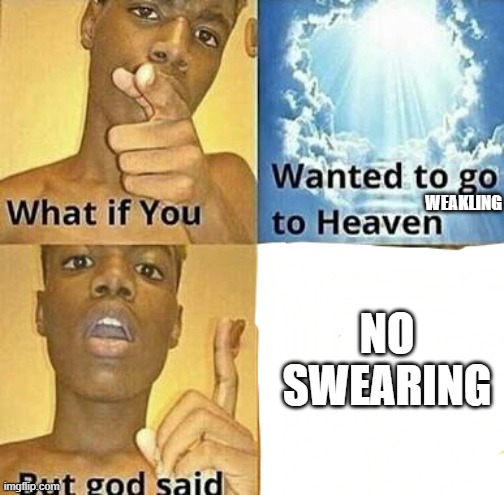 What if you wanted to go to Heaven | WEAKLING NO SWEARING | image tagged in what if you wanted to go to heaven | made w/ Imgflip meme maker