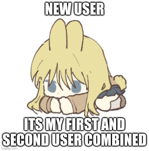well not really but you get the point | NEW USER; ITS MY FIRST AND SECOND USER COMBINED | made w/ Imgflip meme maker