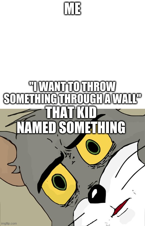 ME; "I WANT TO THROW SOMETHING THROUGH A WALL"; THAT KID NAMED SOMETHING | image tagged in blank white template,memes,unsettled tom | made w/ Imgflip meme maker