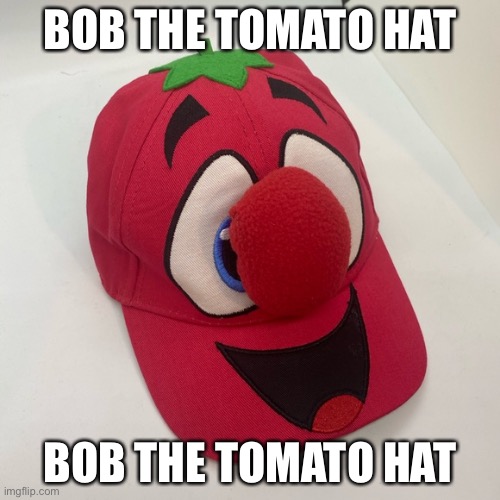 Bob the Tomato Hat | BOB THE TOMATO HAT; BOB THE TOMATO HAT | image tagged in bob the tomato hat | made w/ Imgflip meme maker
