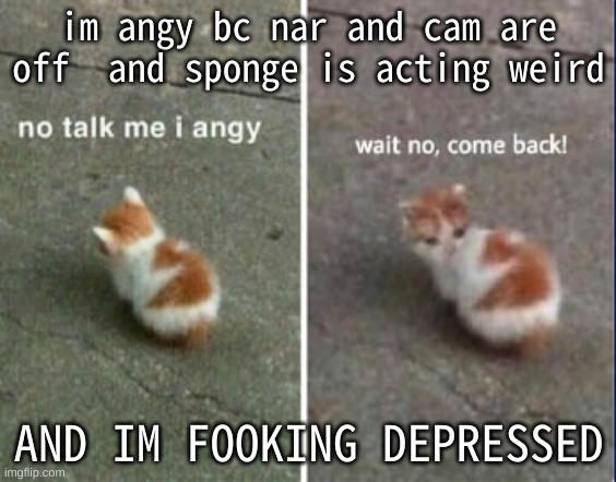 No talk me I angy, wait no, come back! | im angy bc nar and cam are off  and sponge is acting weird; AND IM FOOKING DEPRESSED | image tagged in no talk me i angy wait no come back | made w/ Imgflip meme maker