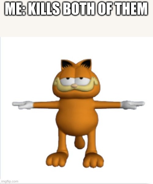 garfield t-pose | ME: KILLS BOTH OF THEM | image tagged in garfield t-pose | made w/ Imgflip meme maker