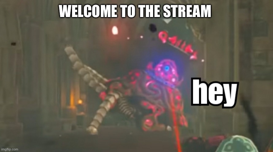 Guardian hey | WELCOME TO THE STREAM | image tagged in guardian hey | made w/ Imgflip meme maker