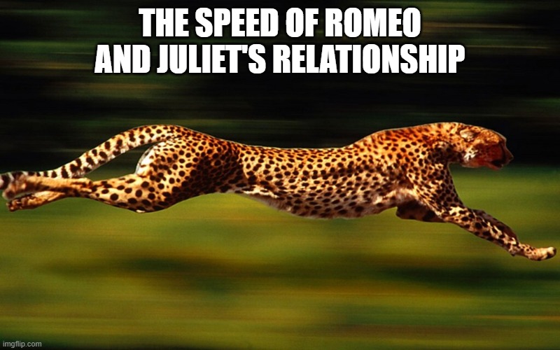 Romeo and Juliet | THE SPEED OF ROMEO AND JULIET'S RELATIONSHIP | image tagged in shakespeare,romeo and juliet,relationships | made w/ Imgflip meme maker