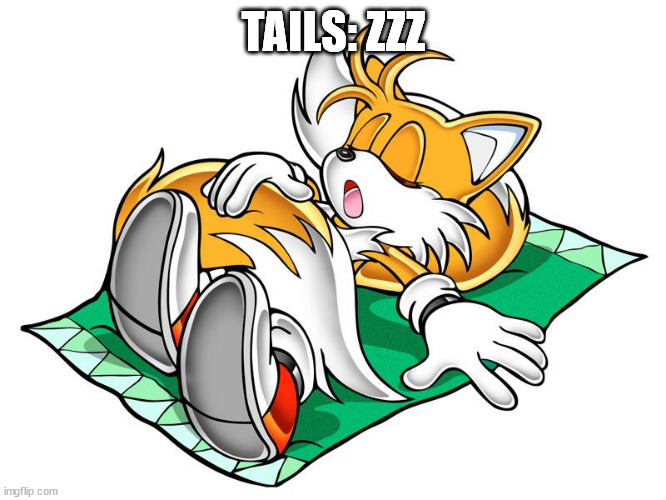 TAILS: ZZZ | made w/ Imgflip meme maker