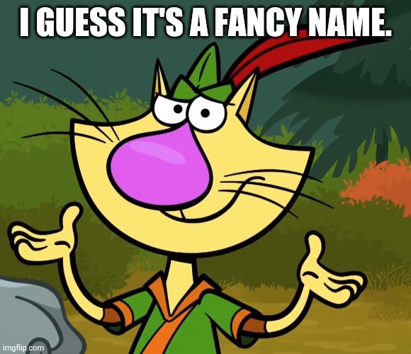 Confused Nature Cat 2 | I GUESS IT'S A FANCY NAME. | image tagged in confused nature cat 2 | made w/ Imgflip meme maker