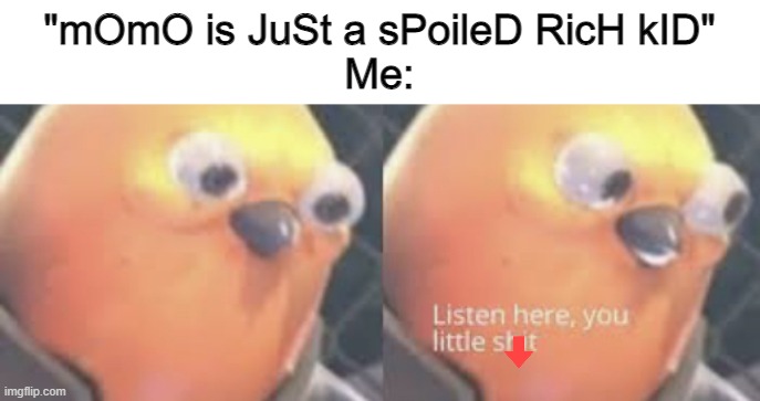 Listen here you little shit bird | "mOmO is JuSt a sPoileD RicH kID"
Me: | image tagged in listen here you little shit bird | made w/ Imgflip meme maker