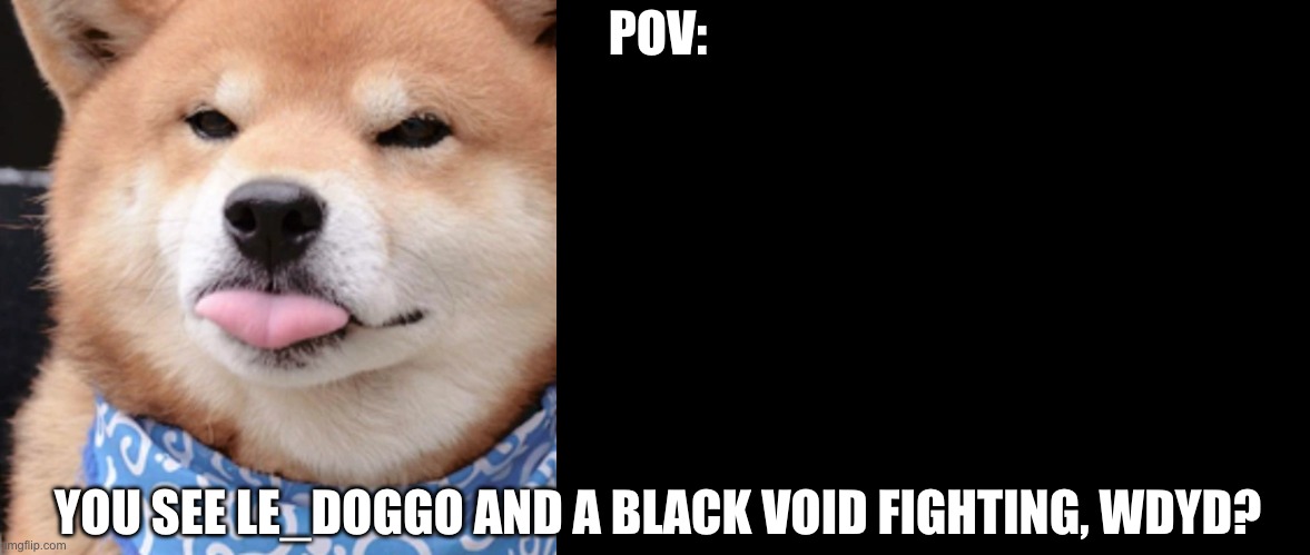  POV:; YOU SEE LE_DOGGO AND A BLACK VOID FIGHTING, WDYD? | image tagged in when you happ,blank black | made w/ Imgflip meme maker