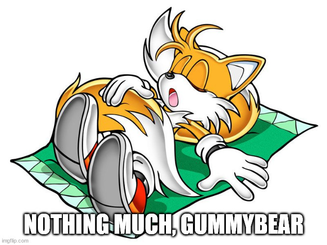 torrentblitz_official this time | NOTHING MUCH, GUMMYBEAR | made w/ Imgflip meme maker