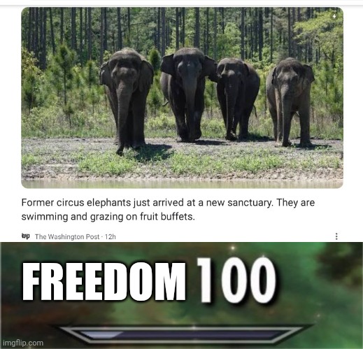 FREEDOM | image tagged in level 100 | made w/ Imgflip meme maker