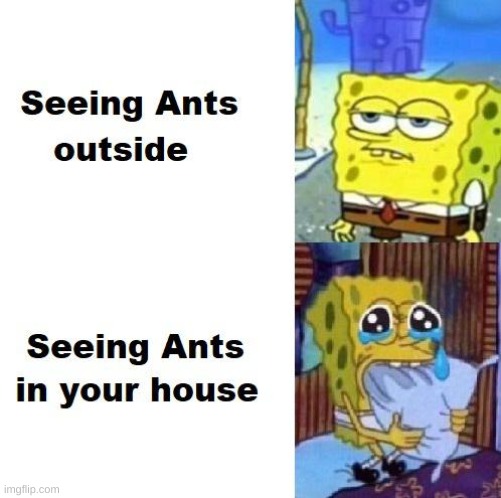 its true | image tagged in memes,spongebob | made w/ Imgflip meme maker