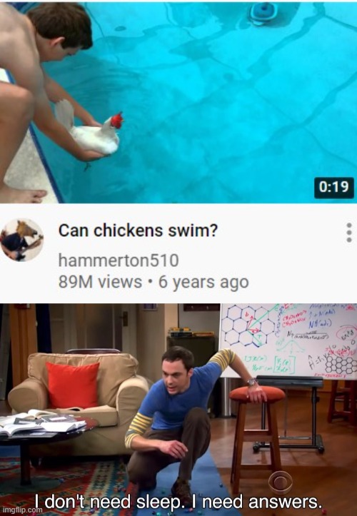 will they swim or will they not | image tagged in i don't need sleep i need answers,memes,youtube | made w/ Imgflip meme maker