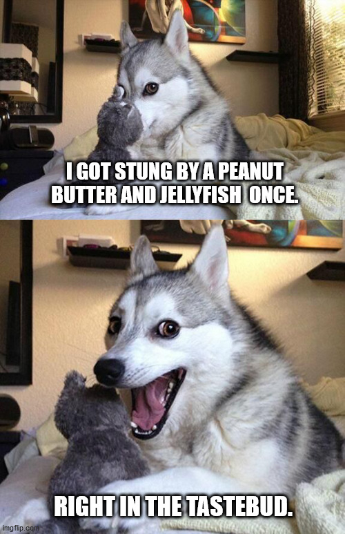 Peanut Butter and Jellyfish | I GOT STUNG BY A PEANUT BUTTER AND JELLYFISH  ONCE. RIGHT IN THE TASTEBUD. | image tagged in bad joke dog 2 panel,food,peanut butter,jellyfish,jelly | made w/ Imgflip meme maker