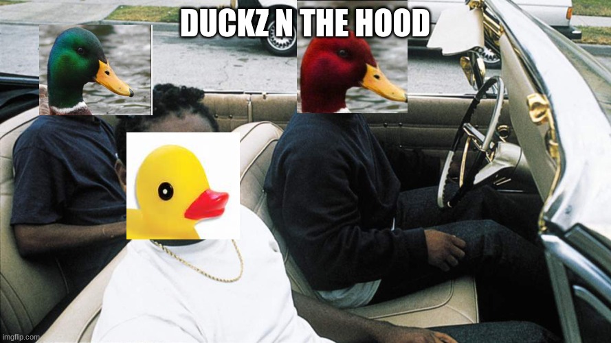 Boyz N The Hood | DUCKZ N THE HOOD | image tagged in boyz n the hood | made w/ Imgflip meme maker